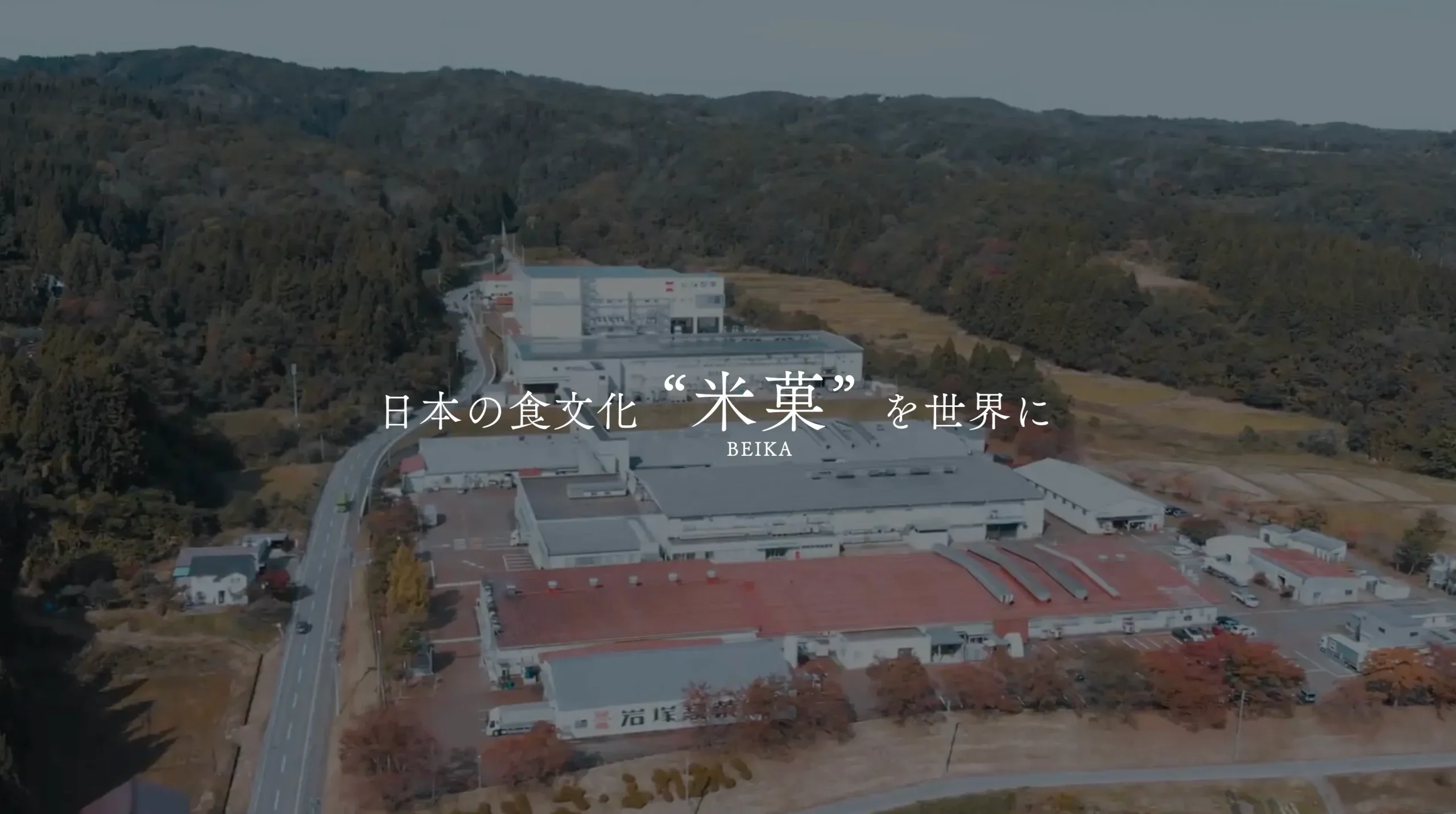 商品情報長岡花火あられ【期間限定】